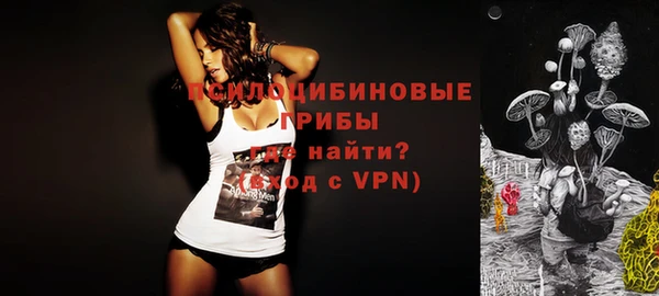 дживик Армянск