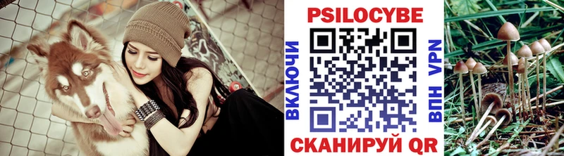 Галлюциногенные грибы мицелий  Сковородино 